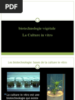 Biotechnologie Et Application 6