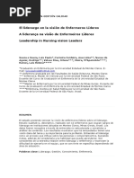 El Liderazgo en La Visión de Enfermeros Líderes