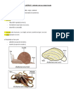 Moluște Și Artropode