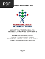 PDF Del Diagrama de Procesos Del Gas