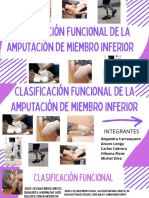 Clasificacion Funcional Miembro Inferirs