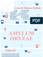 Amylum Oryzae Dan Datura Folium