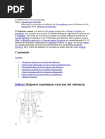 Abdomen