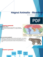 Regnul Animalia - Mamifere1