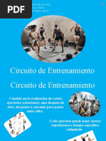 Circuito de Entrenamiento