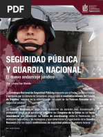 Especial Seguridad Pública y Guardia Nacional