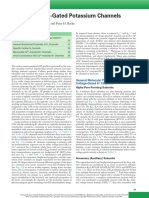 Voltage-Gated Potassium Channels: Gavin Y. Oudit and Peter H. Backx