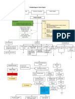 Patoflowdiagram CKR