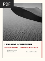 L Essai de Gonflement