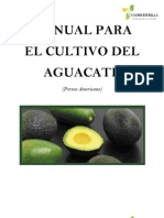 Manual para El Establecimiento de Una Huerta de Aguacate