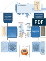 Mapa Del Crecimiento