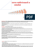 Dezvoltarea Embrionara A Omului