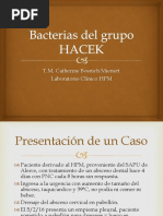 Hacek PDF