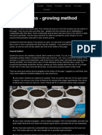 Growing Tree Ferns From Spore - Method