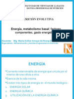 ENERGIA Y NUTRIENTES Requerimientos Nutricion Evolutiva