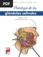 Ponencia Patologia Glandulas Salivales