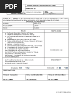 Acta de Induccion y Reinduccion SST