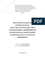 TEMA 8 - Organizații Și Relații Internaționale