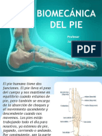 Anatomia Del Pie