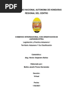 Territorio Aduanero y Su Clasificacion