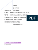 Subphylum Cephalocordata: Classification