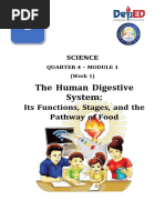 The Human Digestive System:: Its Functions, Stages, and The Pathway of Food