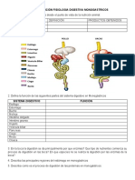 Taller Digestion Nutricion A2021