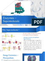 Enzymes Intro