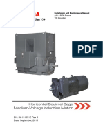 Horizontal Squirrel Cage Medium-Voltage Induction Motor: Installation and Maintenance Manual