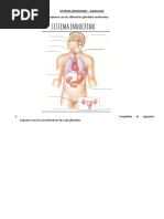 Sist. Endócrino Ejercicios
