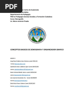 Conceptos de Demografia y Organizador Grafico