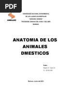 Trabajo 4 Anatomia de Las Cabras