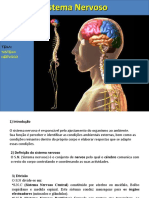 Sistema Nervoso-1