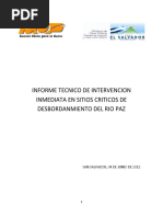 Informe Rio Paz