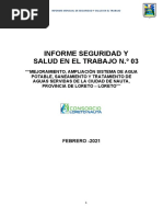 Informe de Seguridad 03 Febrero 2021