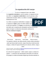 Generalidades Tejidos Biologicos