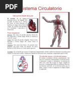 Órganos Principales Del Sistema Circulatorio para Tercero de Primaria