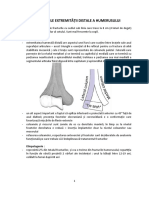 Fracturile Extremita Åt II Distale Humerale