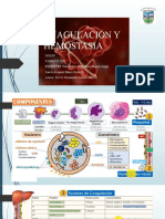 Cuagulacion y Hemotasia.