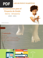 Lineamientos para El Proyecto de Grado 2020 - 2021