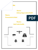 Vectores Epidemiológicos JuliE