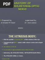 Anatomy of Vitreous and Retina