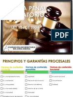 Diapositivas Sistema Penal Acusatorio Semanas 5 y 6-7