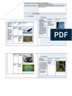 CUADRO COMPARATIVO - Relaciones Del Ecosistema - Finalisimo