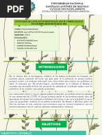 Grupo 9 - Inventario de Las Plantas Medicinales Que Se Comercializan en Los Mercados de Huaraz, 2021