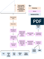 Acute Rheumatic Fever Pathophysiology