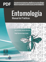 Manual Entomologia