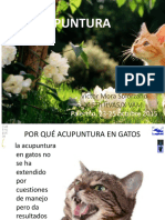 Felino Pun Tura