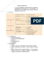 Urgencias Anorrectales