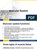 Anatomi Dan Histologi 02 Sistem Muskular